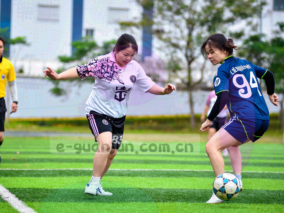 五个功能模块以细线连接的索引式示意图，标注分类导航、额度说明、记录查询、电脑端品牌服务与版本核验